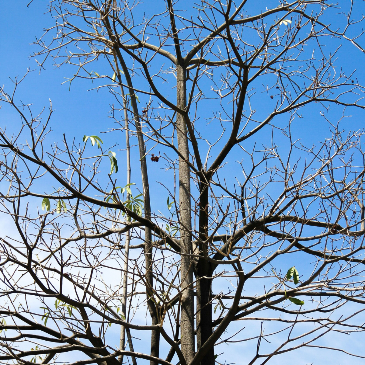 Essential Cool Weather Maintenance Tasks for Community Associations